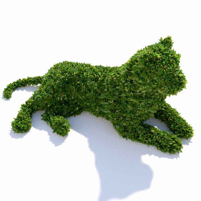 修剪成老虎形状的植物景观3D模型（FBX,MAX）