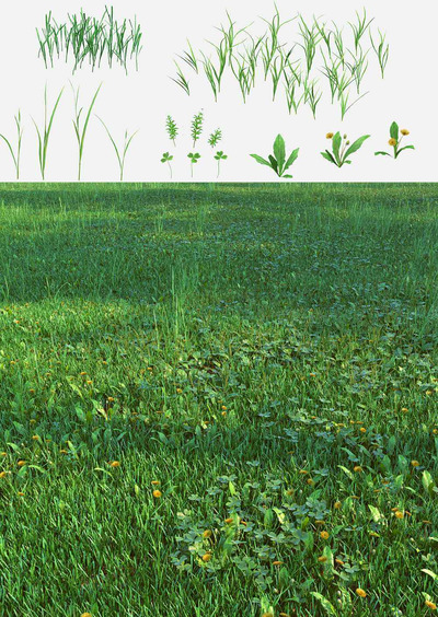 包含车前草 三叶草 翦股颖草的茂盛草坪 草地3D模型（FBX,MAX）