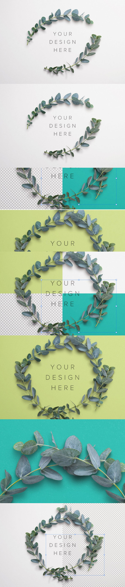 桉树自定义场景创建器样机 (PSD,PDF)