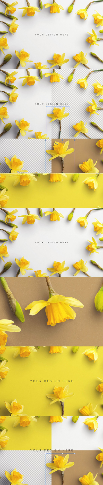 水仙花样机场景样机 (PSD,PDF)