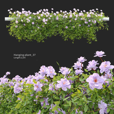 倒垂的藤蔓植物花丛3D模型（FBX,MAX）