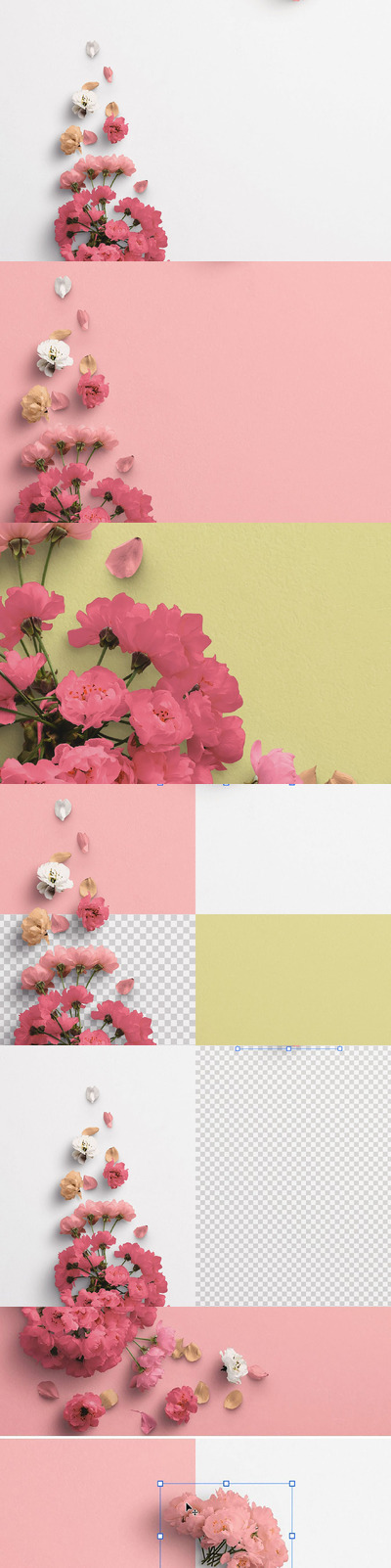 樱花自定义场景创建模版 (PSD,PDF)