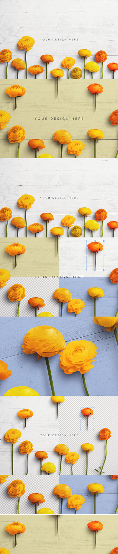 毛茛属自定义场景创建器广告样机 (PSD,PDF)