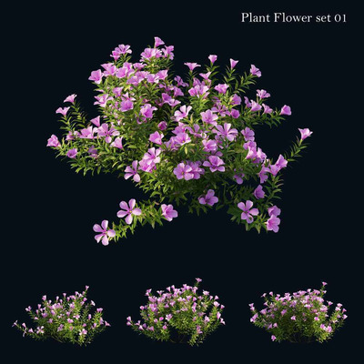 开花的灌木植物 花丛3D模型（OBJ,MAX）
