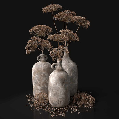 陶罐中的干莳萝花枝3D模型（OBJ,FBX,MAX）