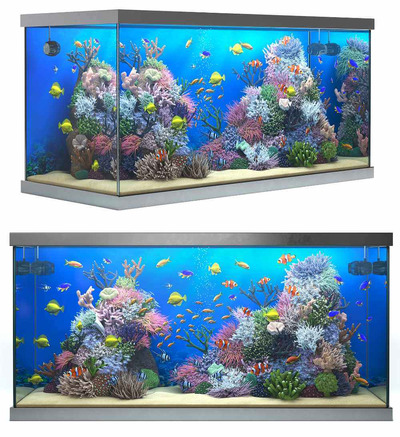 包含珊瑚礁的海洋水族馆 鱼缸 水族箱3D模型（OBJ,MAX）