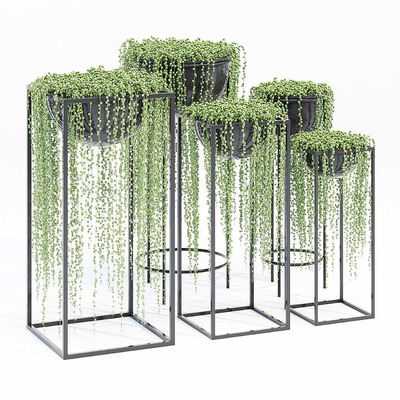 垂坠多肉植物花坛3D模型（OBJ,MAX）