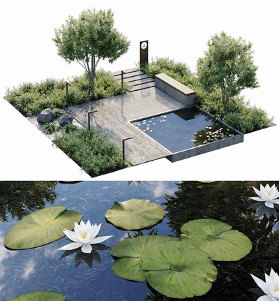包含荷叶荷花池塘和绿植的花园景观 组合景观3D模型（FBX,MAX）