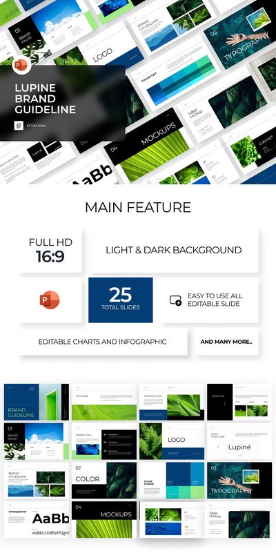 羽扇豆品牌指南 PPT模版 (PPTX)
