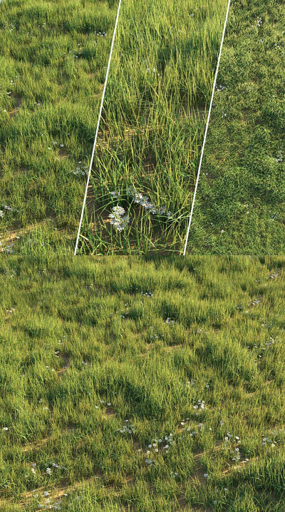 未修剪的草地 草坪3D模型（FBX,MAX）