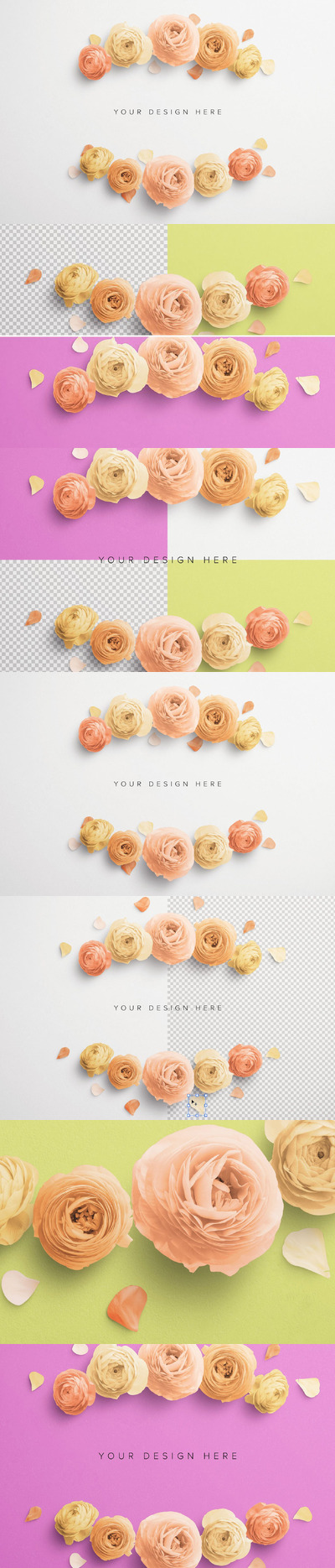 毛茛属自定义场景创建器 (PSD,PDF)