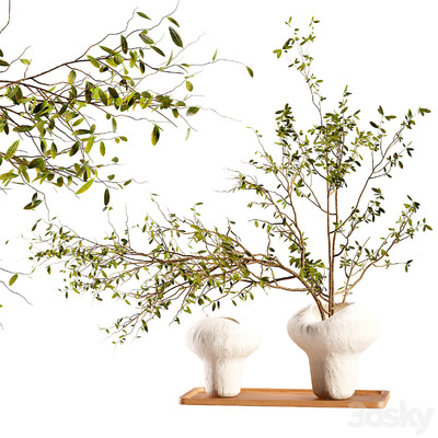 石花瓶中的梅枝3D模型（FBX,MAX）