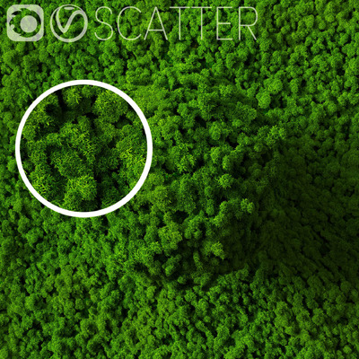 苔藓植物3D模型（OBJ,FBX,MAX）