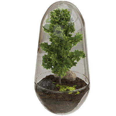 Design House Stockholm植物玻璃罐 绿植温室3D模型（OBJ,FBX,MAX）