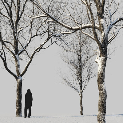 冬天积雪覆盖的树3D模型（OBJ,MAX）