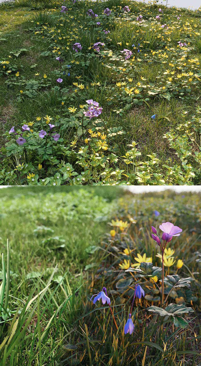 春天开满各色花朵的草地3D模型（FBX,MAX）