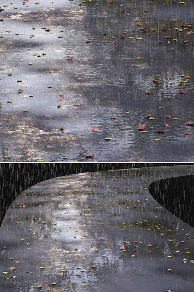 雨天有水坑和落叶的道路3D模型（OBJ,MAX）