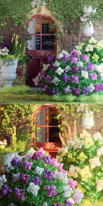 房门前的花丛3D模型（FBX,MAX）