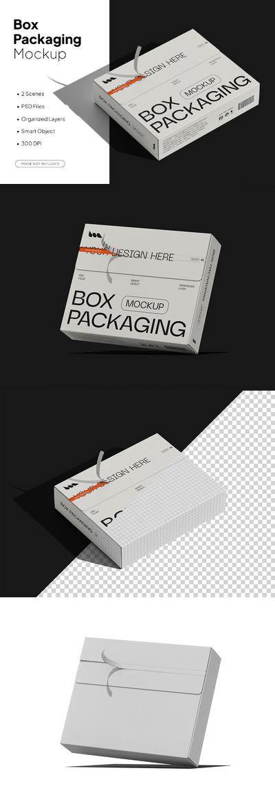 盒子包装样机 (PSD)