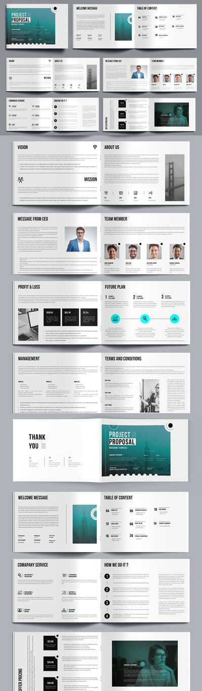 项目建议书布局 (INDD)