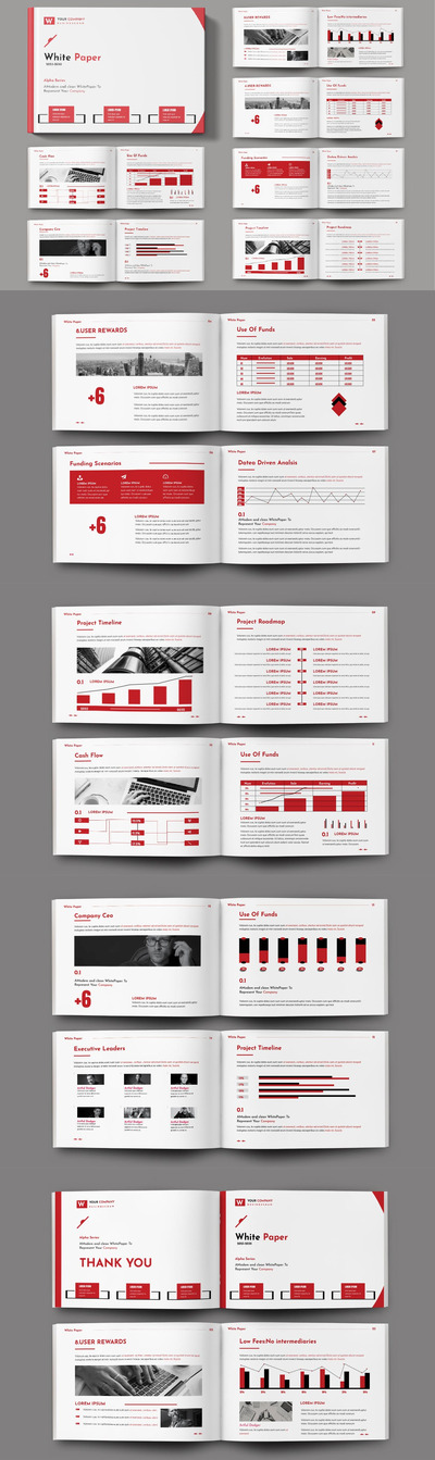 白皮书画册设计模版 (INDD)
