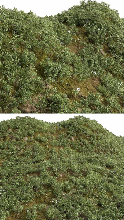 开花的草地 花园草丛景观3D模型（FBX,MAX）