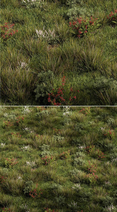 包含花丛和浆果灌木的茂盛的草地3D模型（OBJ,MAX）