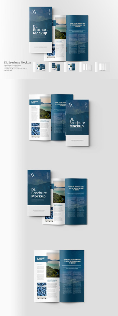 顶视图 DL 小册子样机 (PDF,PSD)