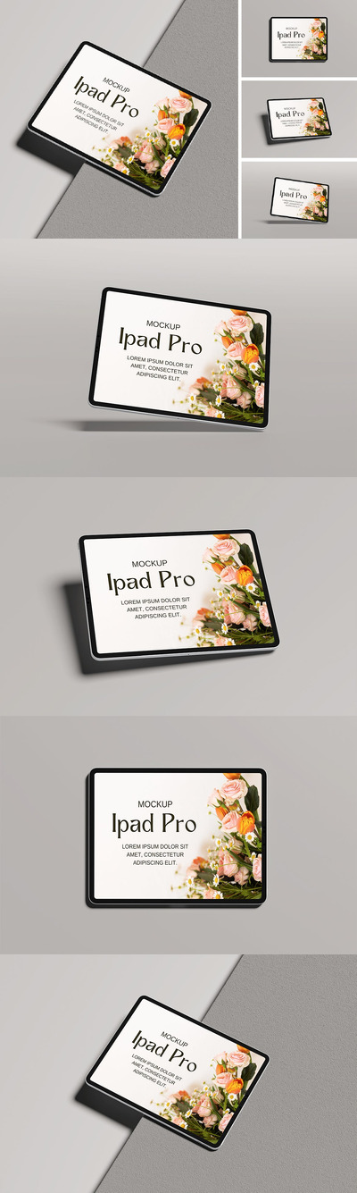 iPad Pro 样机 (PSD,PDF)