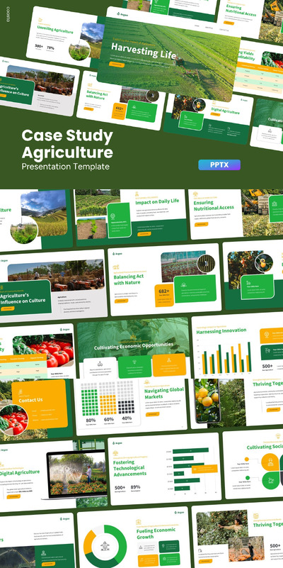 农业案例研究 -  PPT模版 (PPTX)