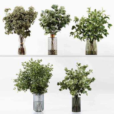 玻璃瓶中的绿叶植物枝条3D模型（OBJ,FBX,MAX）