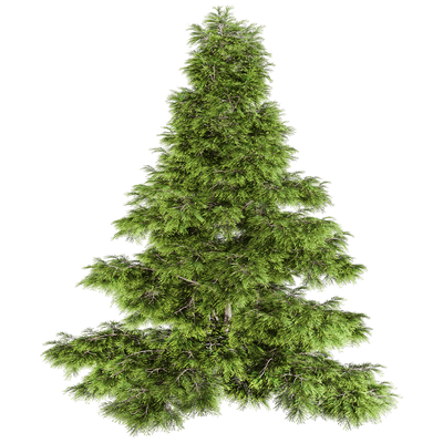 Sabina Chinensis圆柏树3D模型（OBJ,FBX,MAX）