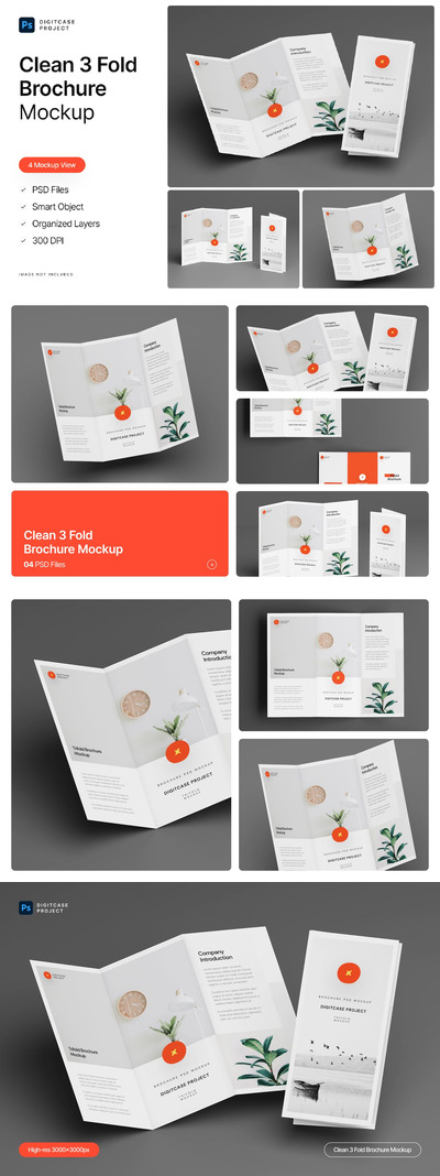 极简主义 3 折页小册子样机 (PSD)