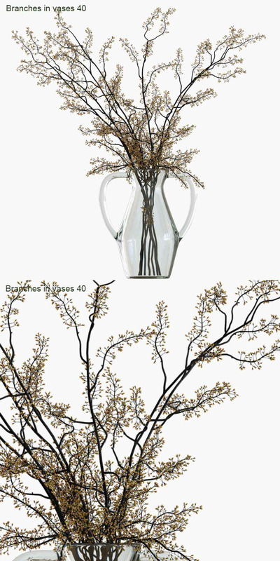 玻璃瓶中的植物枝条3D模型（OBJ,FBX,MAX）
