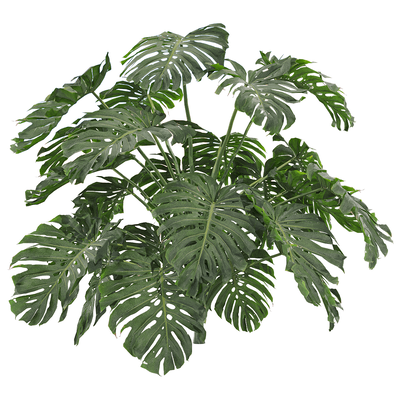 龟背竹植物3D模型（OBJ,FBX,MAX）