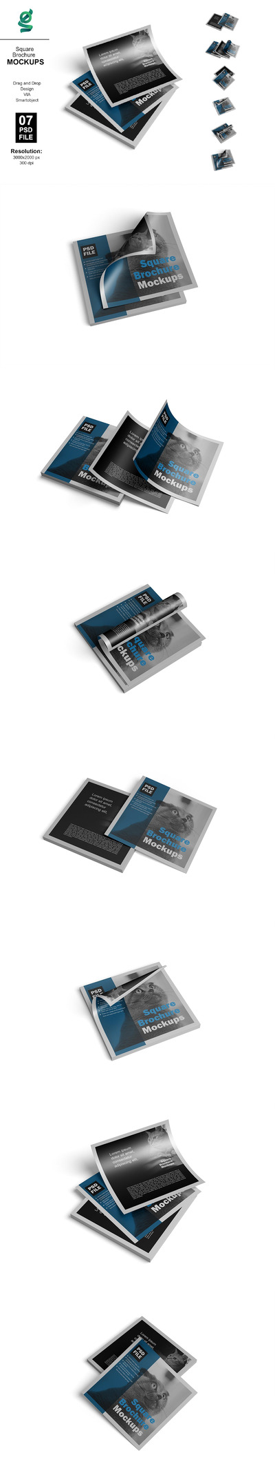 方形宣传册样机 (PSD,PDF)