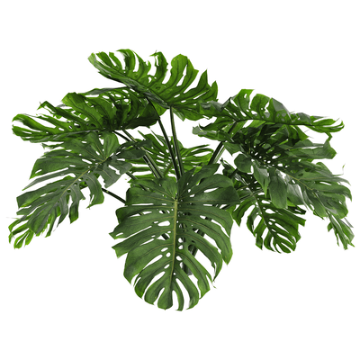 龟背竹植物3D模型（OBJ,FBX,MAX）