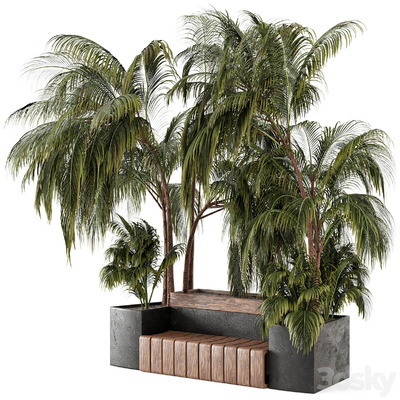 带长凳的棕榈植物花坛3D模型（OBJ,MAX）