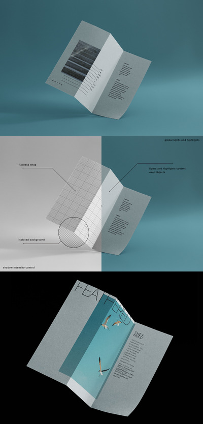 字母三折样机 (PSD)