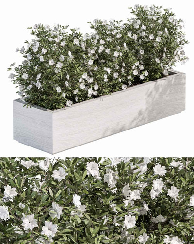 户外植物花坛 花丛3D模型（OBJ,MAX）