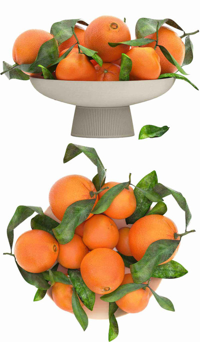 高脚果盘里的橙子3D模型（OBJ,MAX）