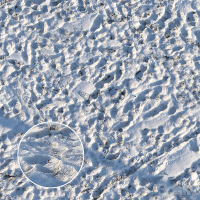 被雪覆盖的草地 带脚印的雪地3D模型（FBX,MAX）