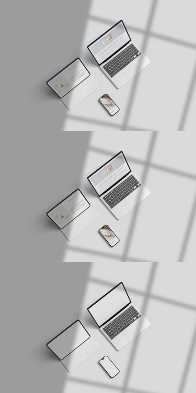 多设备模型 (PSD)