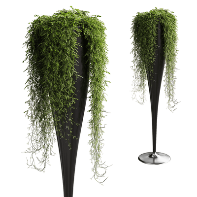 Serralunga HIC圆锥形花盆中的垂坠植物 绿植盆栽3D模型（OBJ,FBX,MAX）