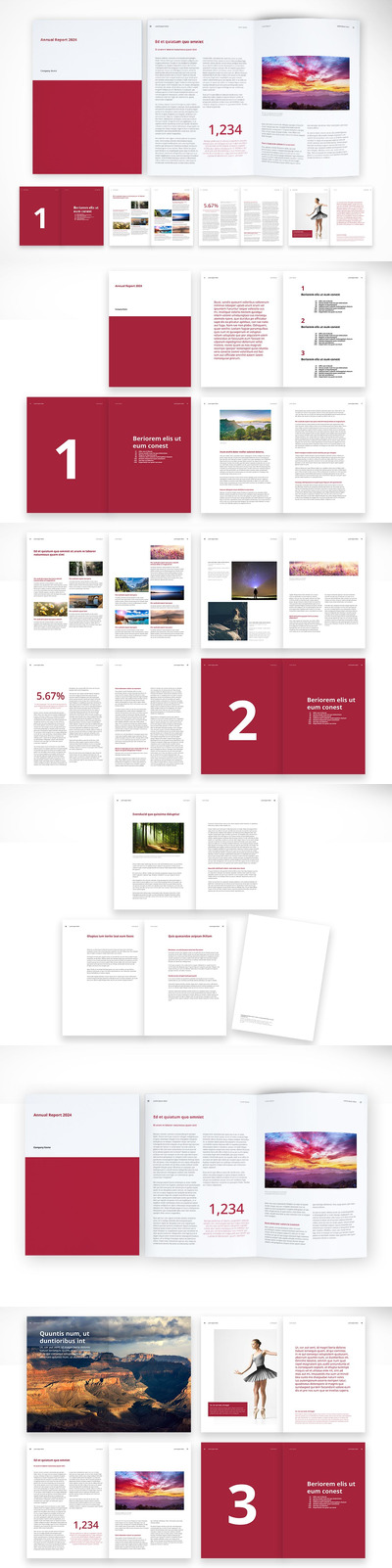 干净、现代的公司文件 (INDD)