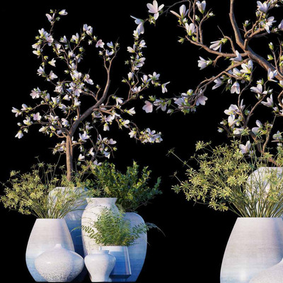 开花的玉兰盆景 玉兰树 盆栽3D模型（OBJ,MAX）