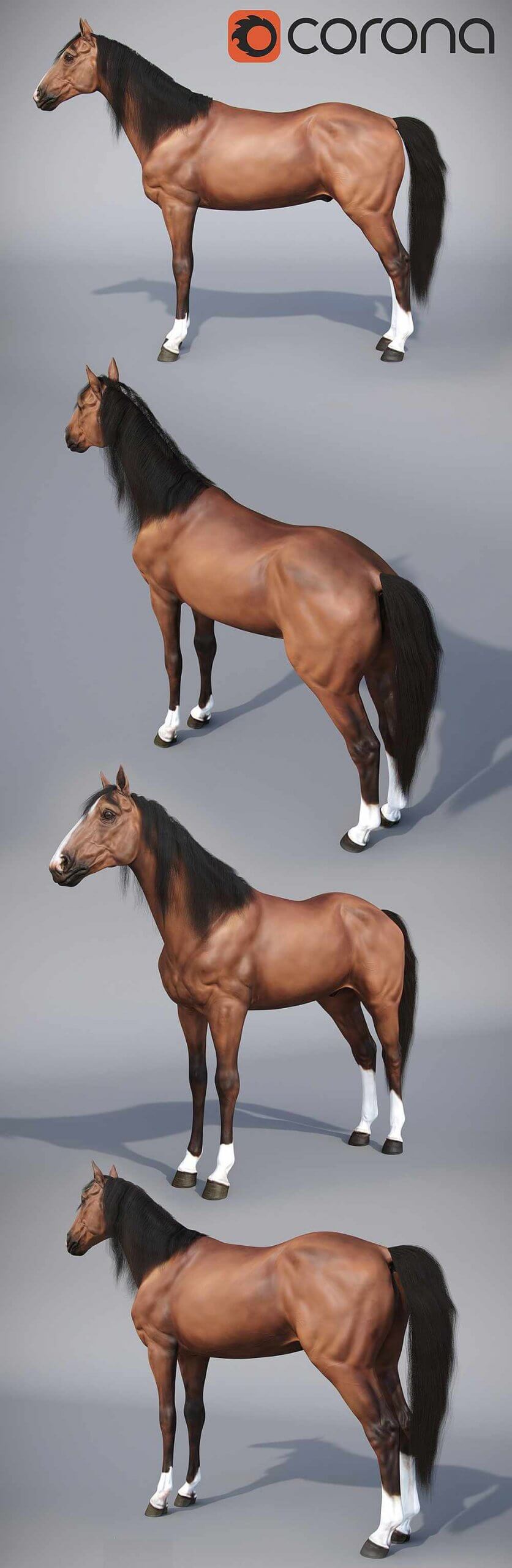 站立的马3D模型（OBJ,MAX）