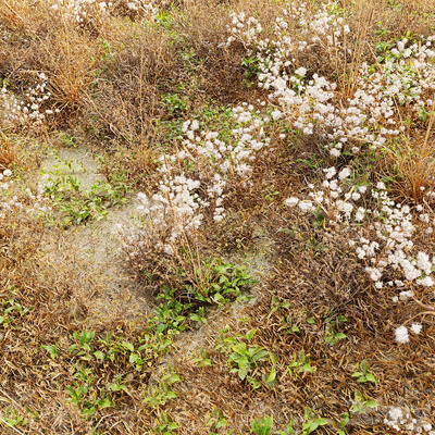 干草地3D模型（FBX,MAX）