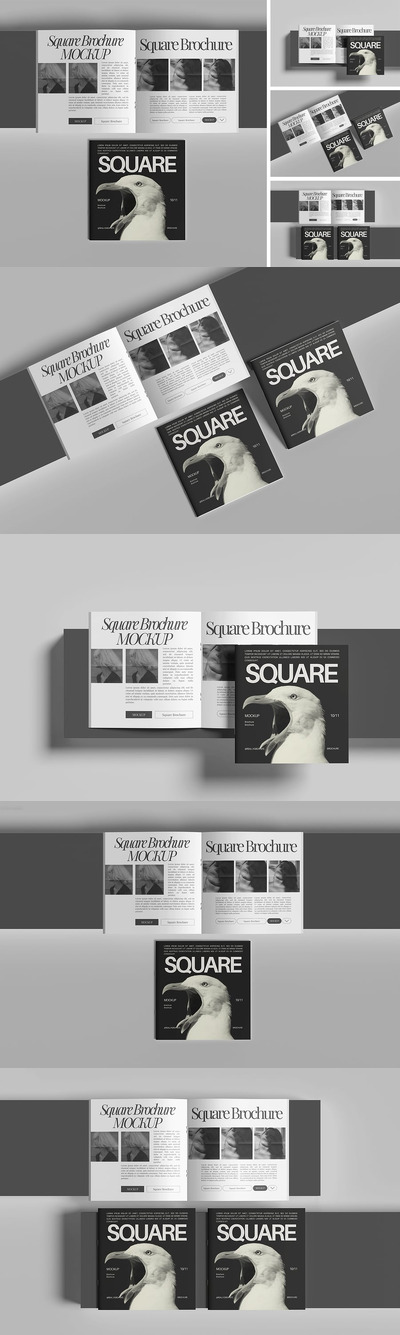 方形画册小册子样机 (PSD,PDF)