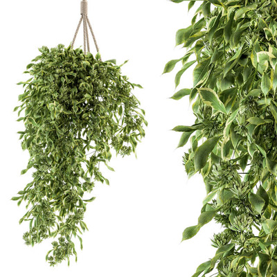 室内绿植吊篮3D模型（OBJ,MAX）